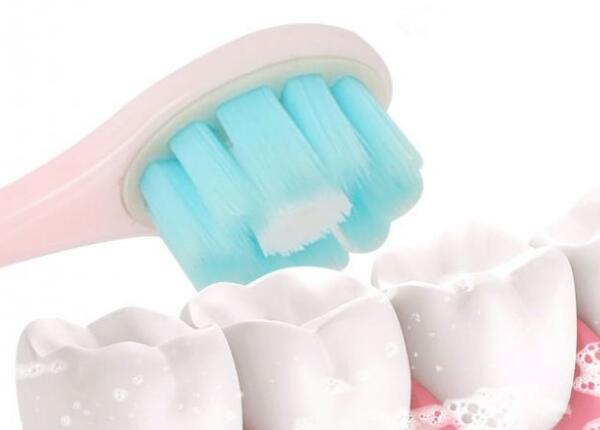 扁圆形电动牙刷刷头