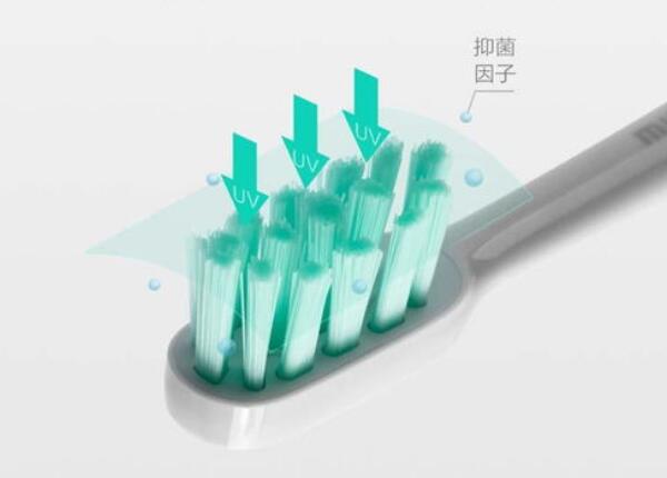 电动牙刷头 小米电动牙刷头圆形好吗