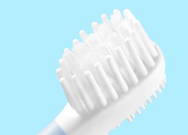 发霉电动牙刷处理方法