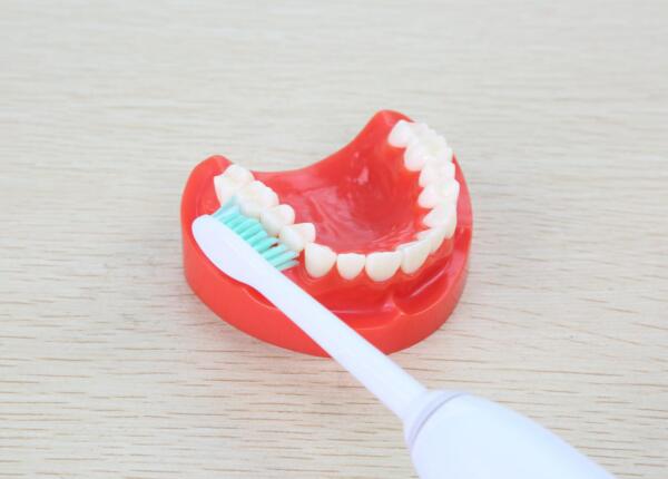 旋转电动牙刷 旋转电动牙刷