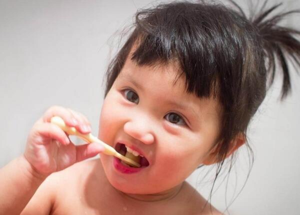 婴儿磨牙牙刷 婴儿磨牙牙刷的作用