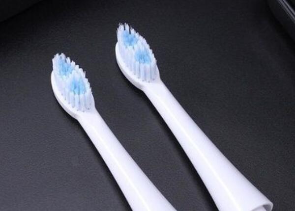 电动牙刷头 电动牙刷头什么价格比较合适