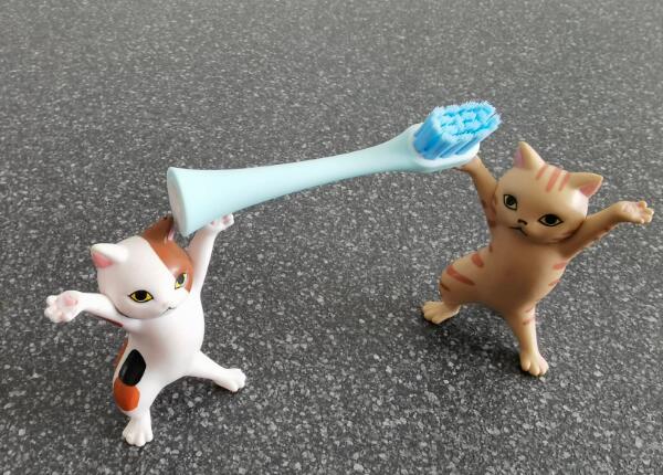 儿童电动牙刷头如何选择？儿童电动牙刷头选购要点